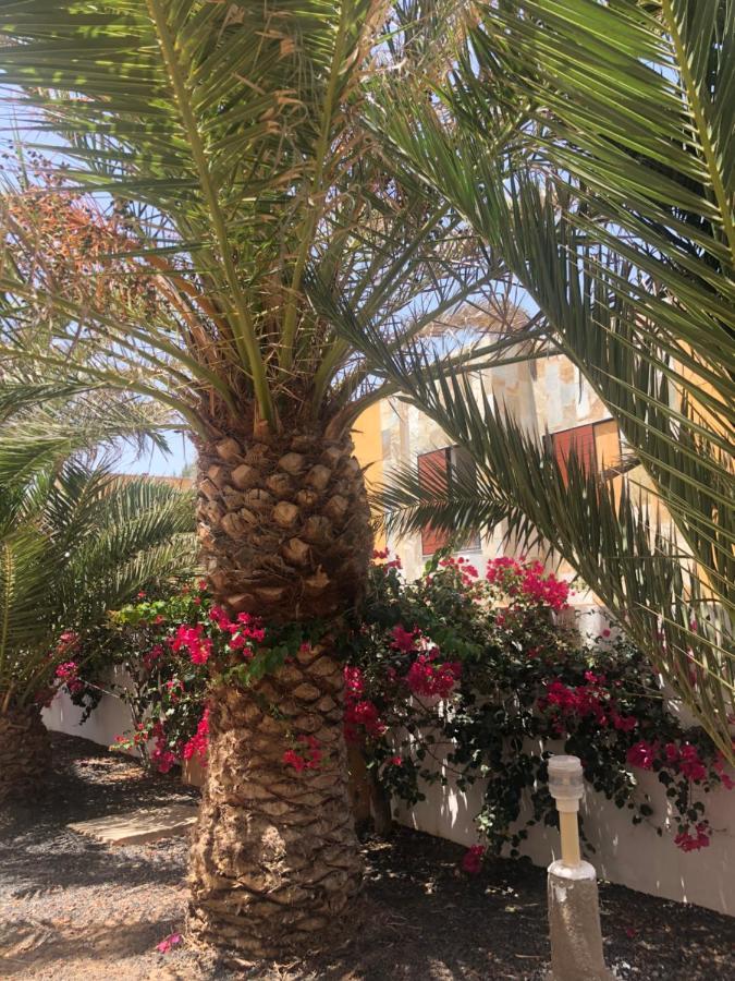 Apartamento Le Soleil De Fuerteventura Costa De Antigua Zewnętrze zdjęcie